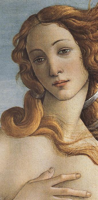 Sandro Botticelli The Birth of Venus (mk36) china oil painting image
